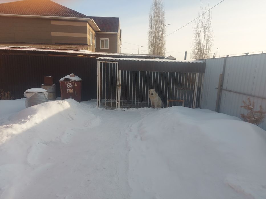 Продам дом в отличном состоянии