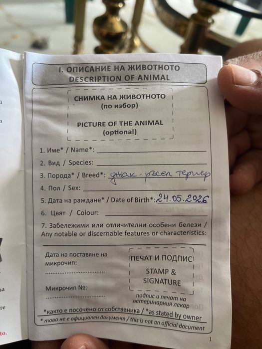 Джак ръсел Териер
