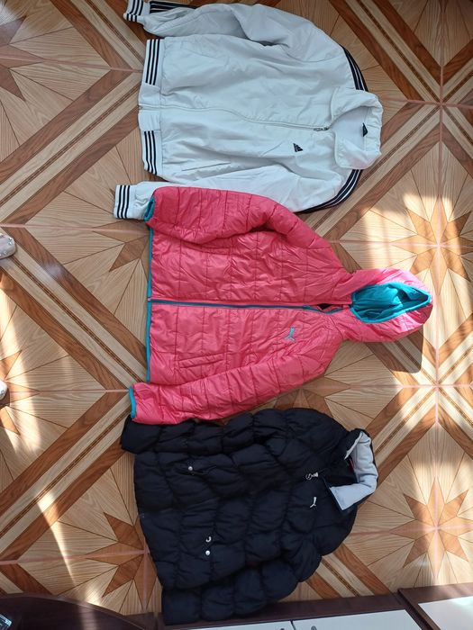 Gegi Adidași, Puma, diverse marimi