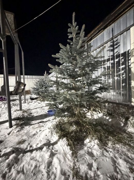 Дом с баней Деркул2 17млн