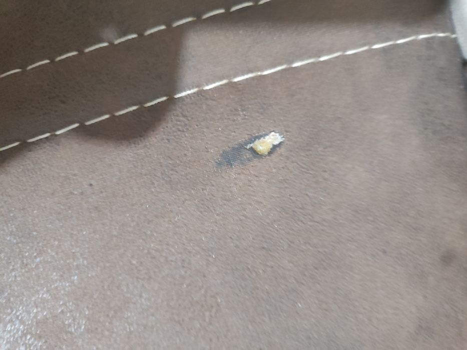 Gastiniy ugalok judayam zor