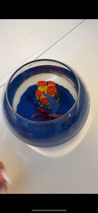 Аквариум с рыбками