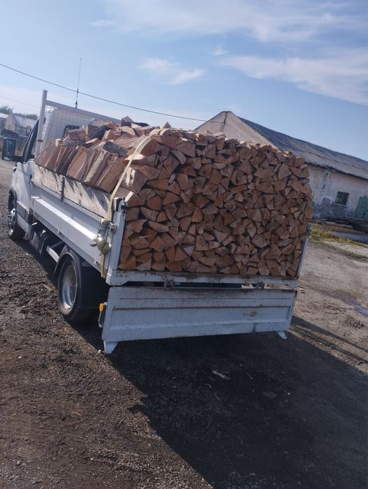 Lemn de esenta tare fag