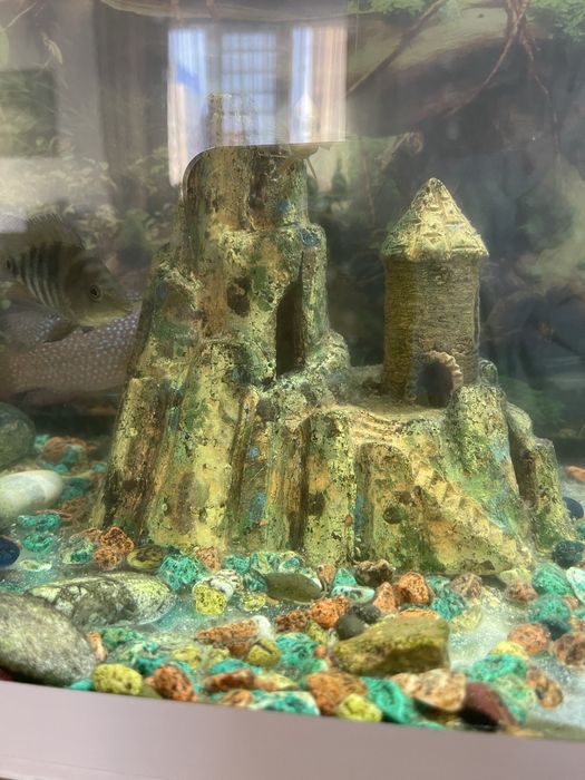 Аквариум с рыбками