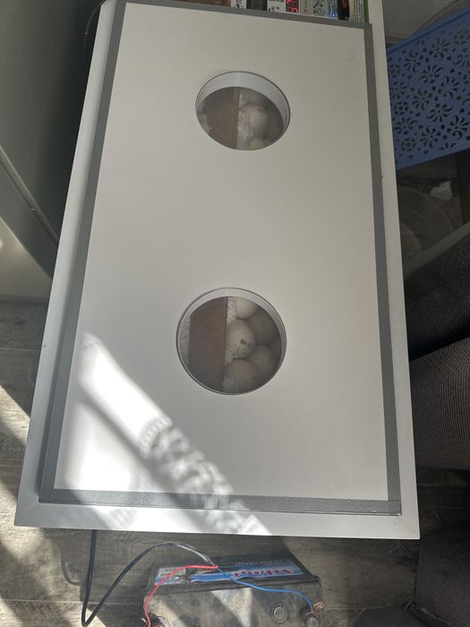 Индюшата Big6, Биг6, курка.Италия, Испания, Канада