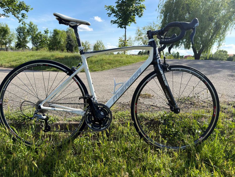 Cursiera Merida Ride 95