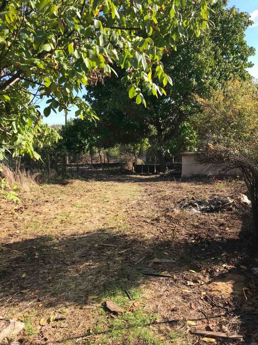 Продава се Къща в с. Пелишат, Област Плевен - 81 кв.м за 224 €/кв.м - Снимка #4