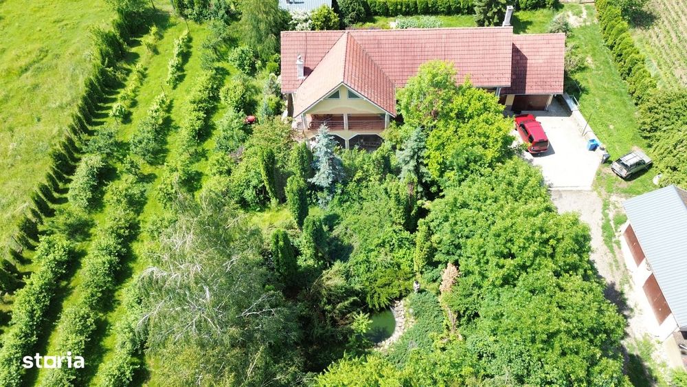Proprietate Premium Cu 4.534 Mp Teren- Reghin Strada Pometului
