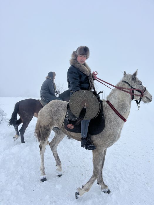 Қасқырішік натуралка