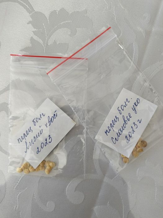 Продам семена сортового болгарского перца.