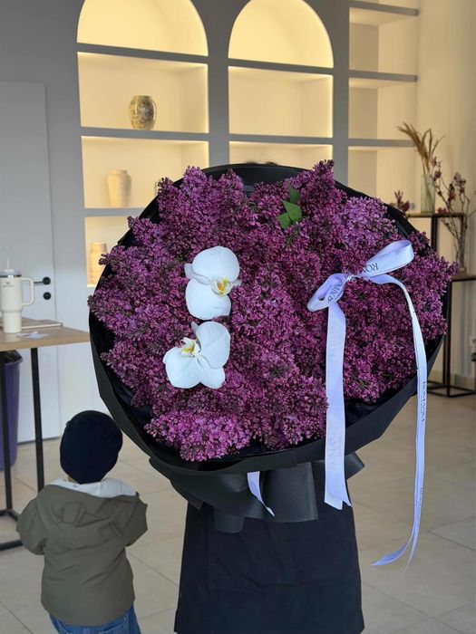 Сирень сирень сирень