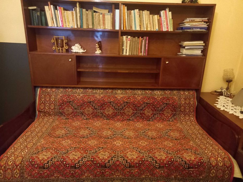 Canapea extensibila cu biblioraft si saltea