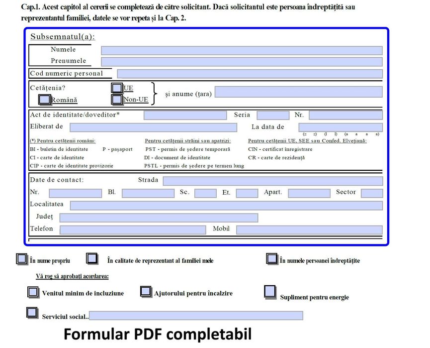 Formulare PDF completabile | Excel automatizat | Suport IT rapid