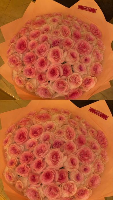 Букет из розы 51 шт,свежие