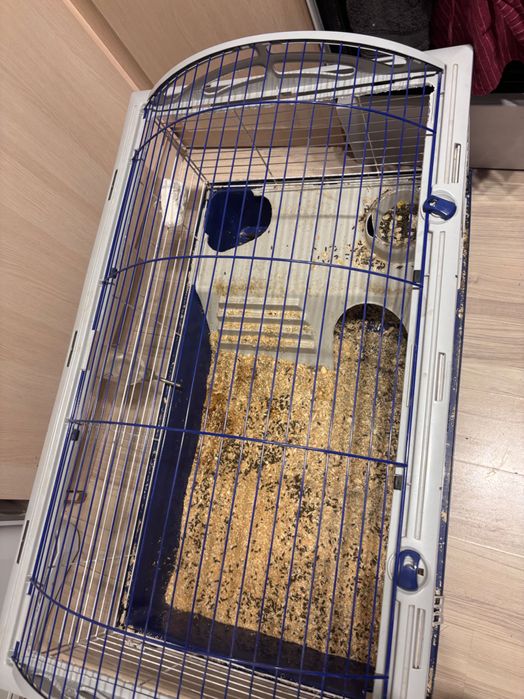 Продам шиншиллу с клеткой