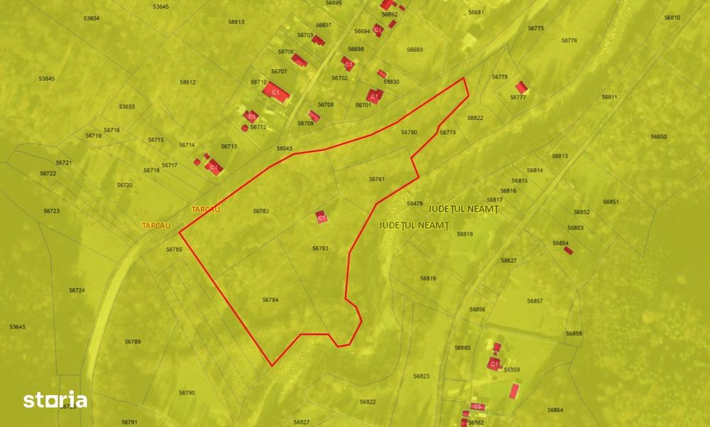 O oază de natură în inima munților: Casa + Teren de 30283 m2 în Tarcău