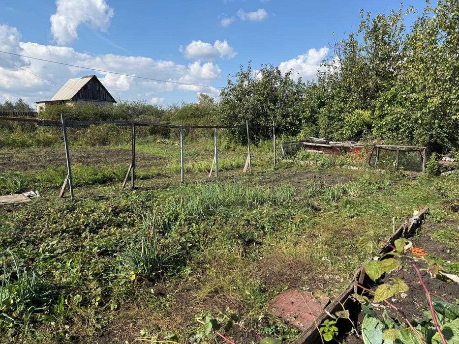 Дачный участок в СО "Ромашка"