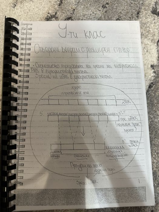 Учебници и учебни помагала за подготовка за кандидат-студентски изпити