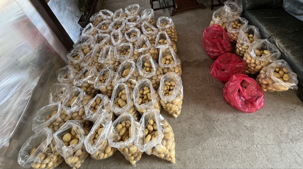 Пресен картоф / Пресни картофи