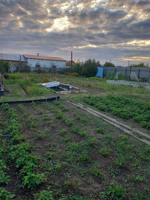 Продам участок садоводство Клён.