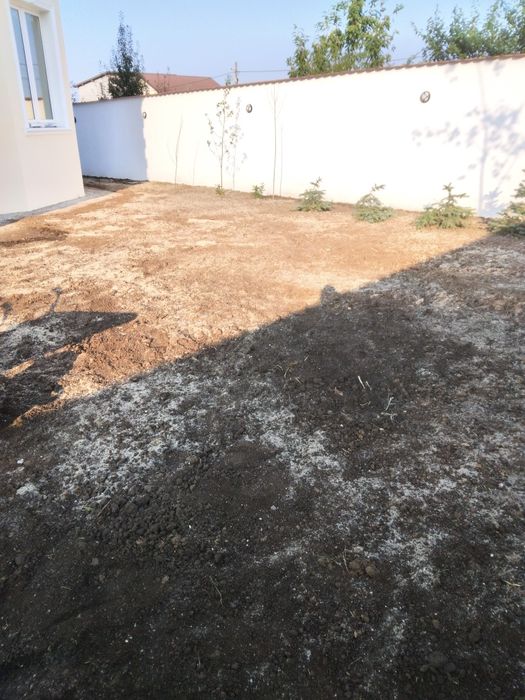 Gazon rulou calitatea 1