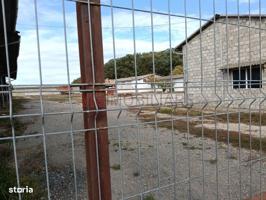 Ferma Agricolă 1.350 HA – Grad de Comasare 96–97%, Județul Arad