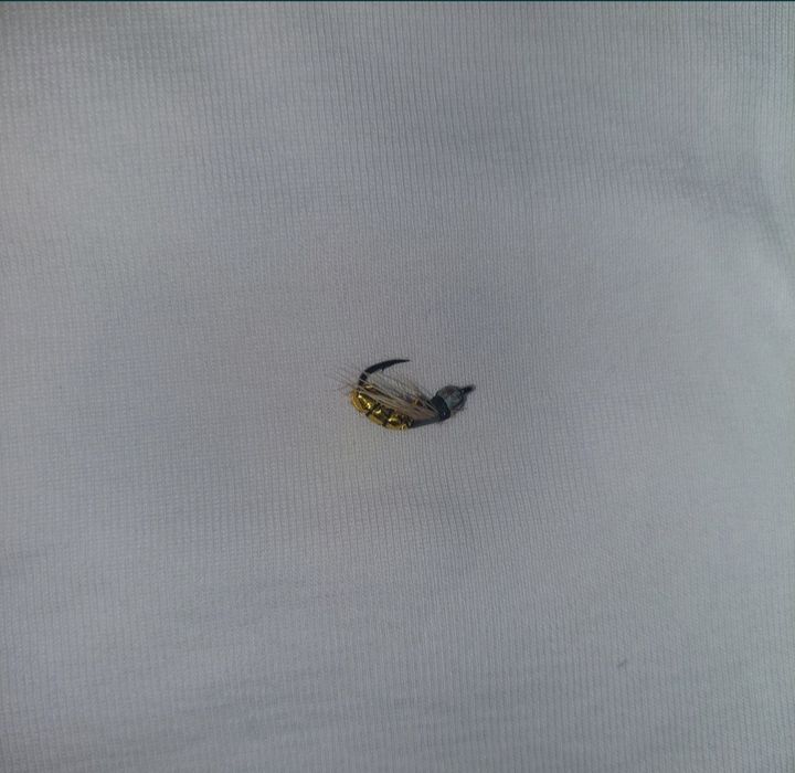 Muște pentru pescuit