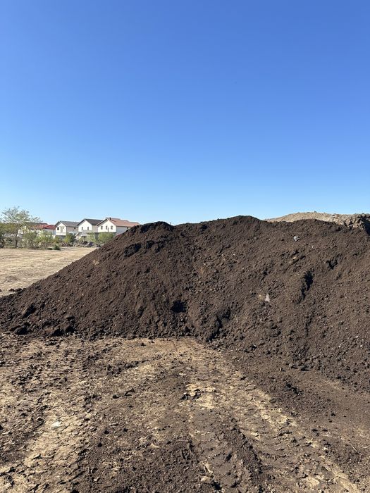 Mranita maturata sere solarii gradina