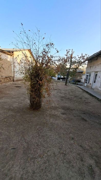 Олтынтепа 4 сотки 32х18