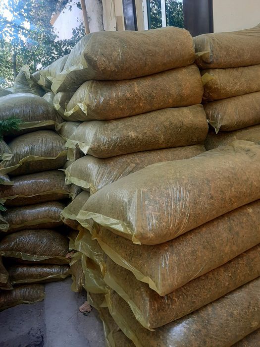 Selos sotiladi narxlari xamyonbop  donli