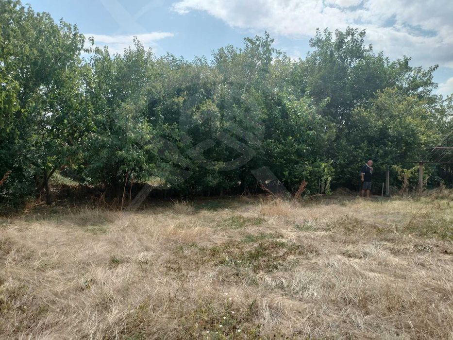 Продава се Парцел в с. Царацово, Област Пловдив - 490 кв.м за 127 €/кв.м - Снимка #1