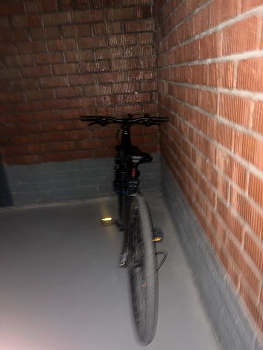 Giant в хорошем состояние гибрид