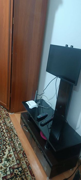 Мирзо Улугбек аренда семя и студентов