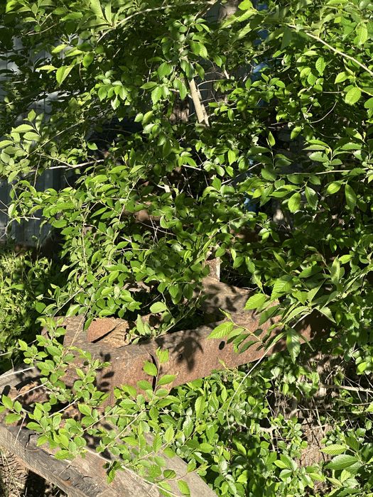 Прицеп ( прицеп на машину)