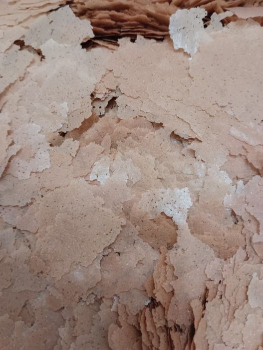 Корм для рыбок..