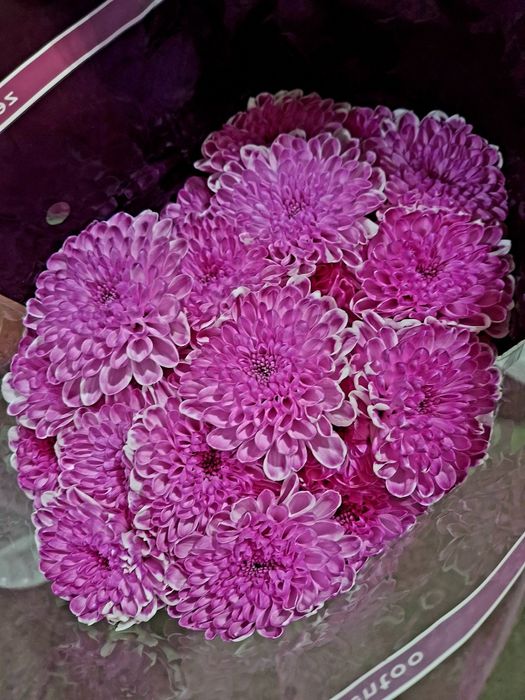 Цветы в ассортименте по оптовым ценам.