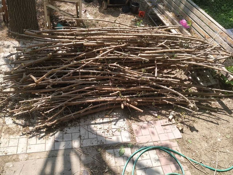 Дрова разного размера (тутовник)