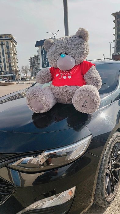 2, 5 метрлик Янги Тедди