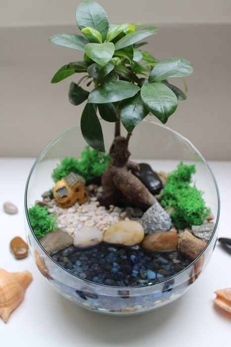 Флорариум с езеро - подарък за деня на влюбените, 8ми март, рожден ден
