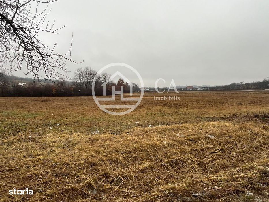 Teren intravilan de vanzare in Beiuș, Bihor