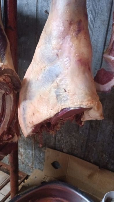 Жылкы/Конина/Сиыр/Говядина