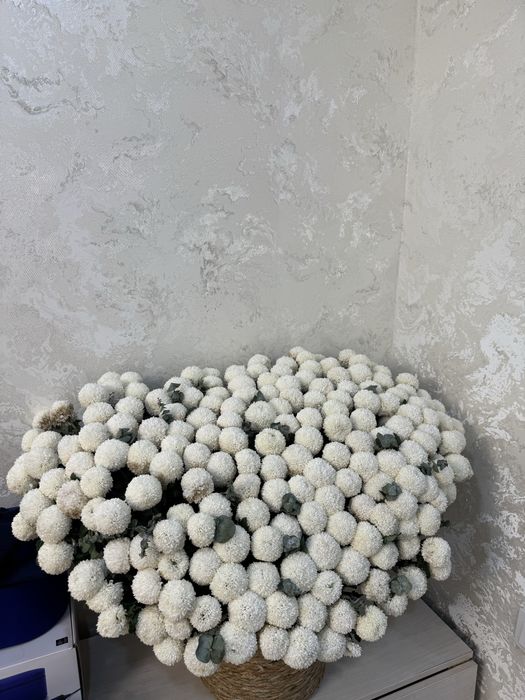 Продам цветы свежие