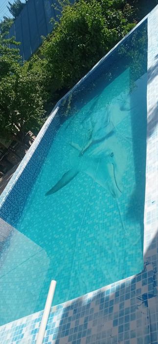 Arzon dacha oila va ulfatlar uchun