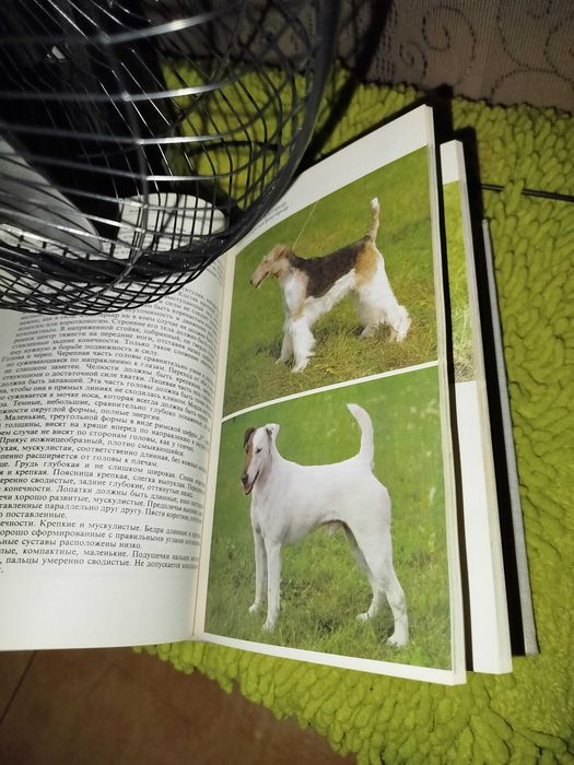 Книга Атлас пород собак