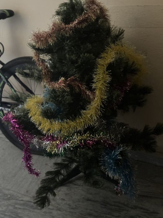 Елка котирилган чиройли