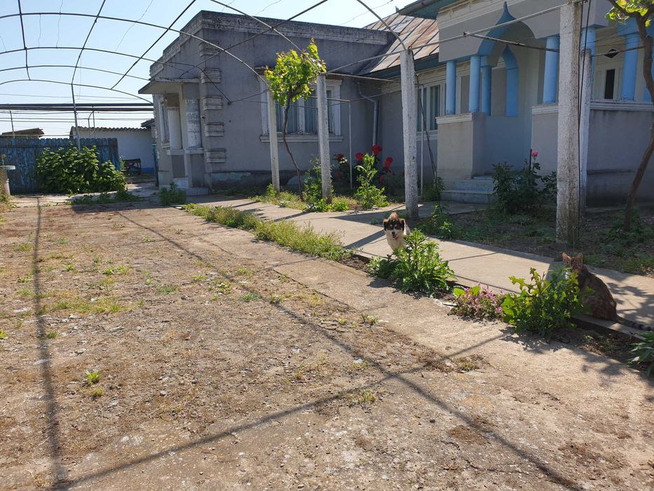 vand casa teren 1853mp Sarichioi, Tulcea