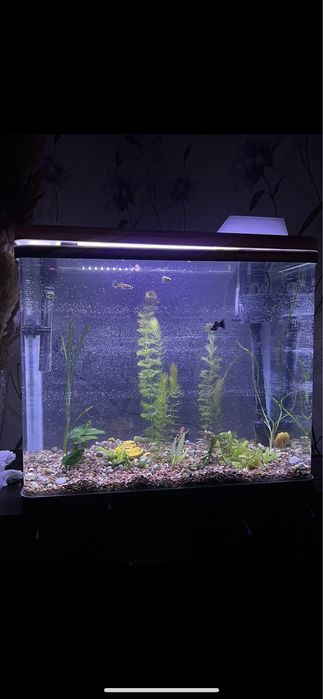 Акриловый аквариум 50 литров