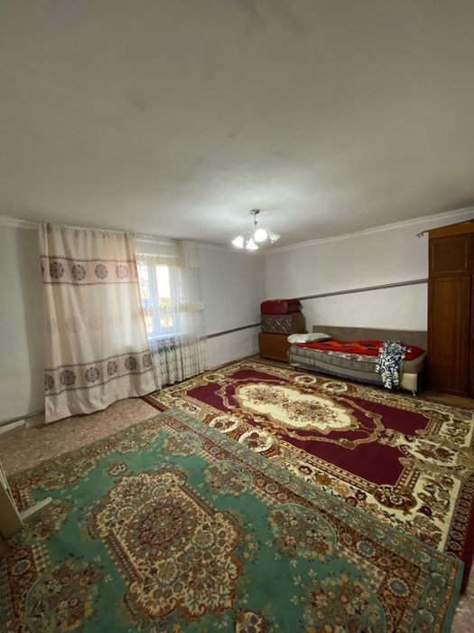 Продам хозяйство