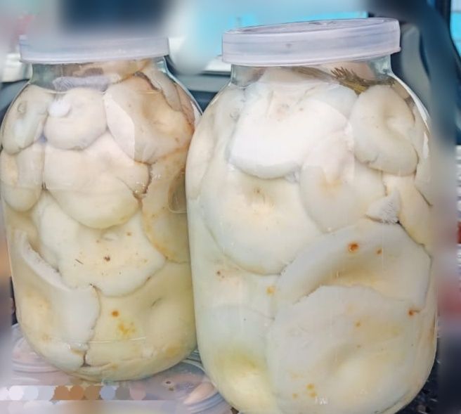 100 банок груздей