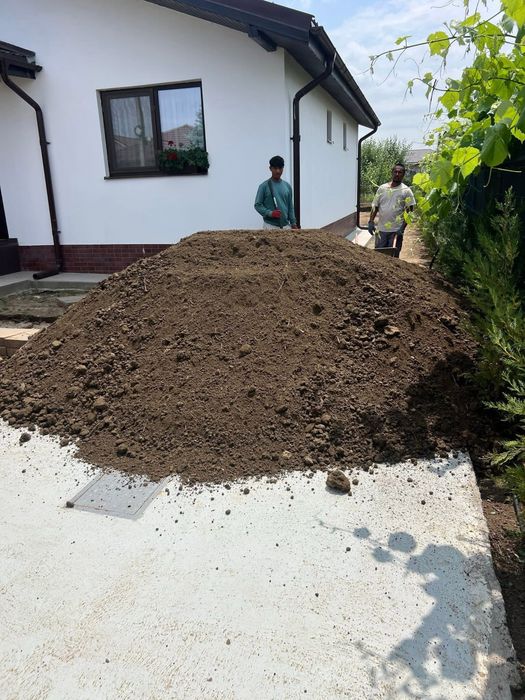 Pamant negru maruntit sortat pentru  gazon / plante /mranita /gradina